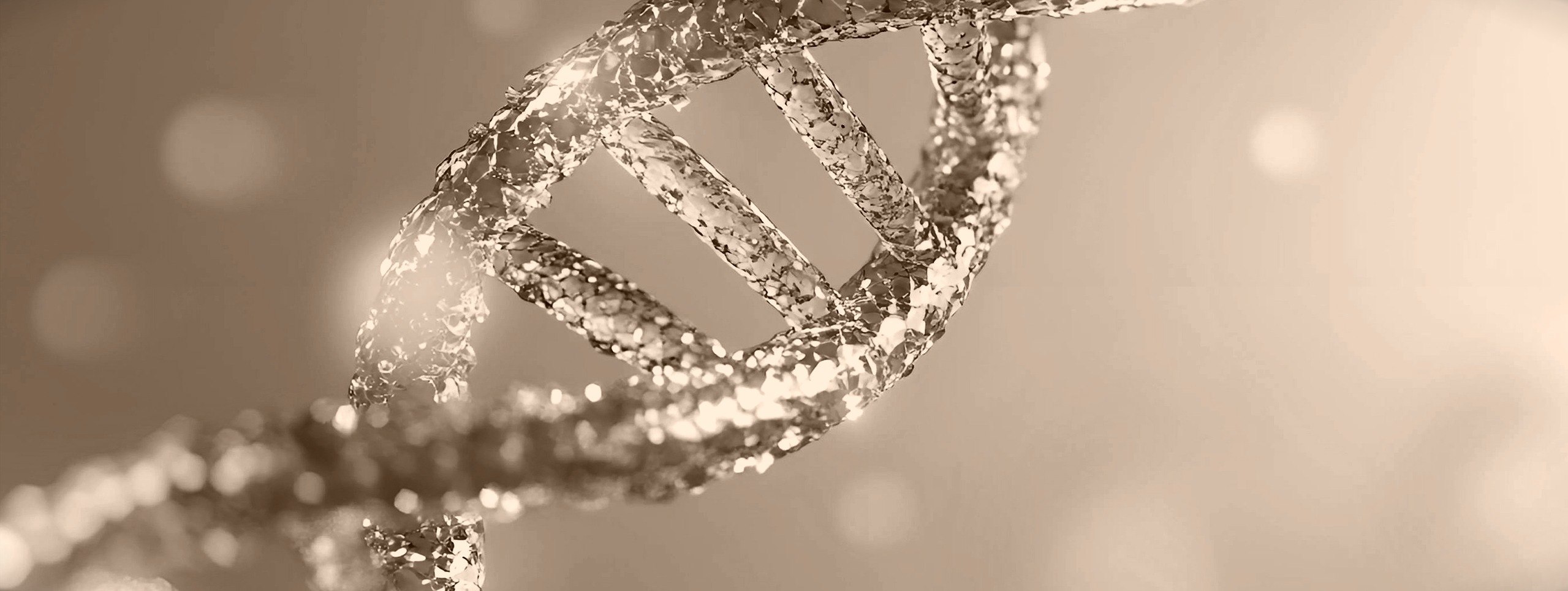 A DNA helix, the molecule PDRN is derived from